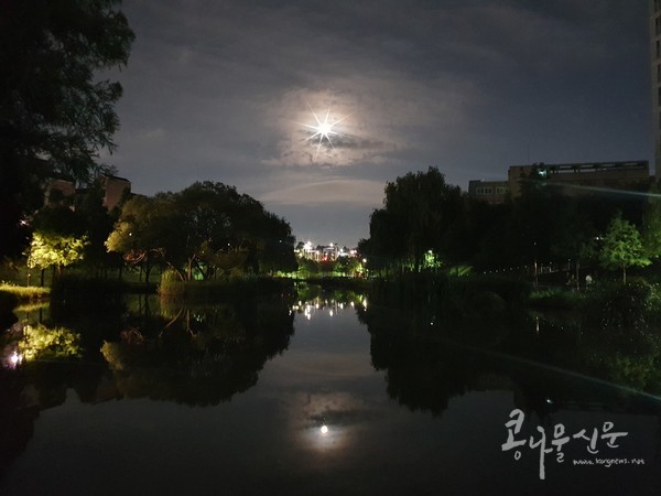 아름다운 베르네천의 저녁 풍경(사진 최은경 의원 페이스북)
