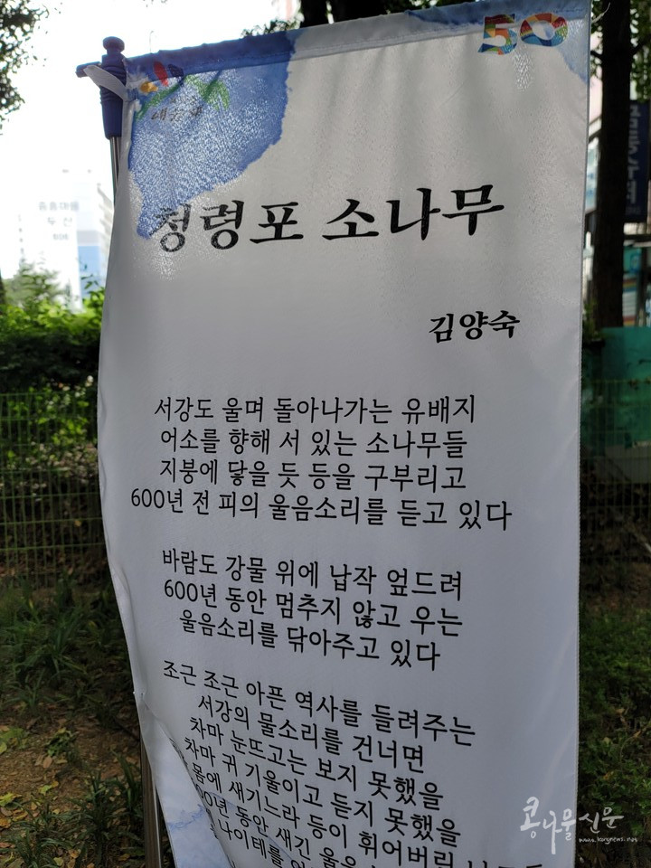 김양숙 '청령포 소나무'