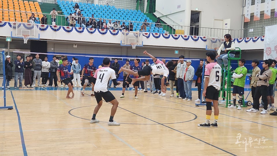 2025�� �̾Ḷ(����) ������Ÿũ�� ��ȸ�� ����� ���